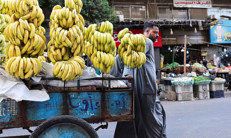 Global food inflation is expected to  intensify as supply shocks pile up